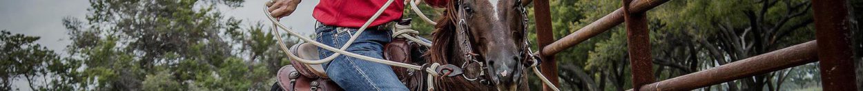 Horse Trainer Clinton Anderson