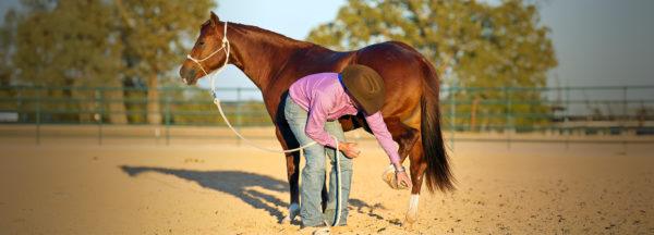 Clinton-Anderson-Presents_Kicking-A-Bad-Habit
