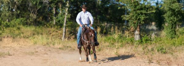 Clinton-Anderson_Get-Your-Horse-to-Go-Forward