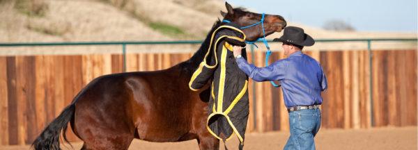 5-Mistakes-to-Avoid-Spooky-Objects