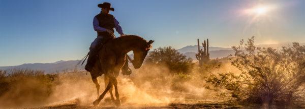 philosophy_8-steps-to-success