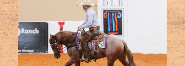 QA_Getting-on-while-wearing-spurs